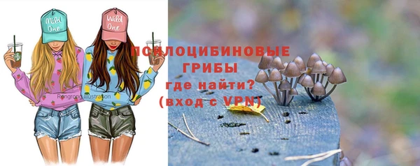 не бодяженный Верхний Тагил