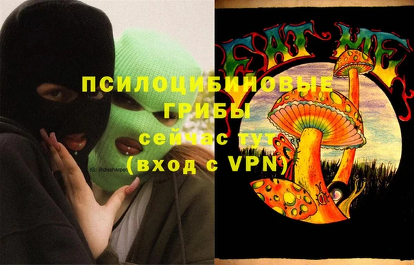 гидра Верея