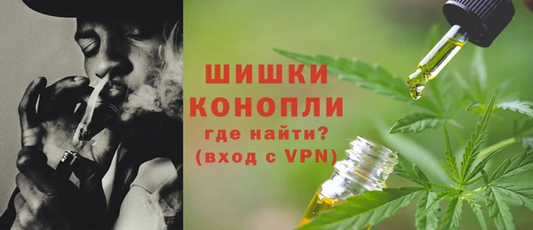 СК Бронницы