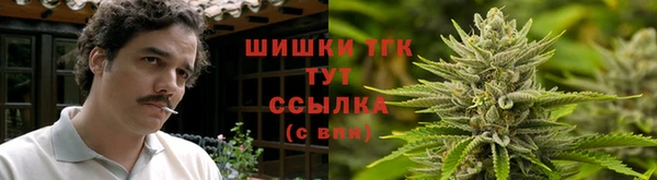 гидра Верея