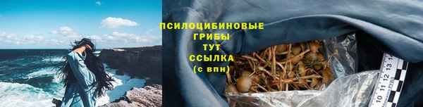 не бодяженный Верхний Тагил
