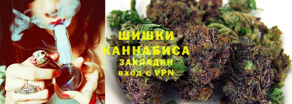 гидра Верея