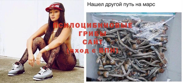 МДПВ Бородино