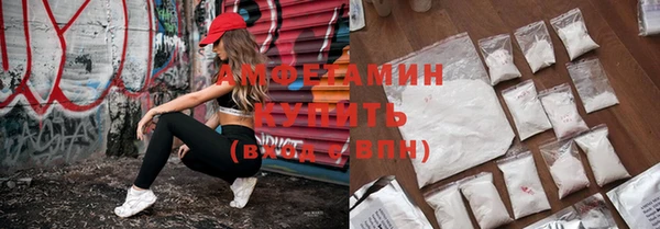 МДПВ Бородино