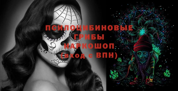 МДПВ Бородино