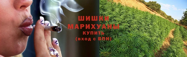 МДПВ Бородино