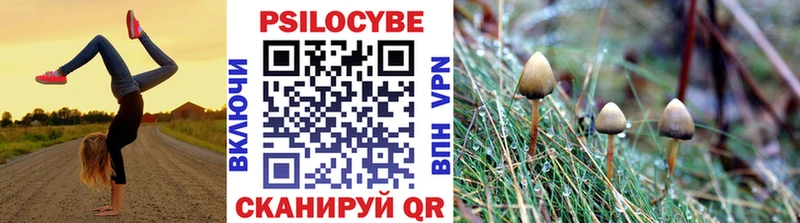 Псилоцибиновые грибы Psilocybe  KRAKEN онион  Чёрмоз 